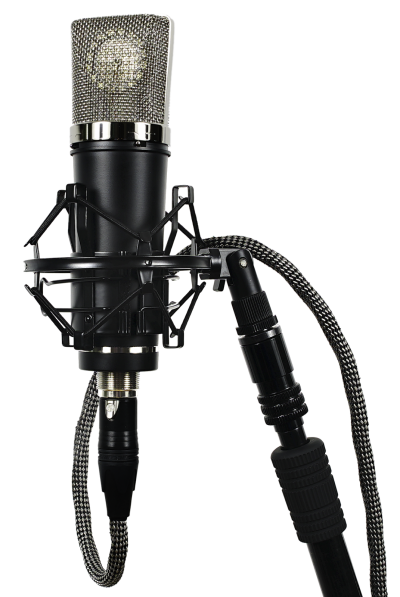 Detail Microphone No Background Nomer 17