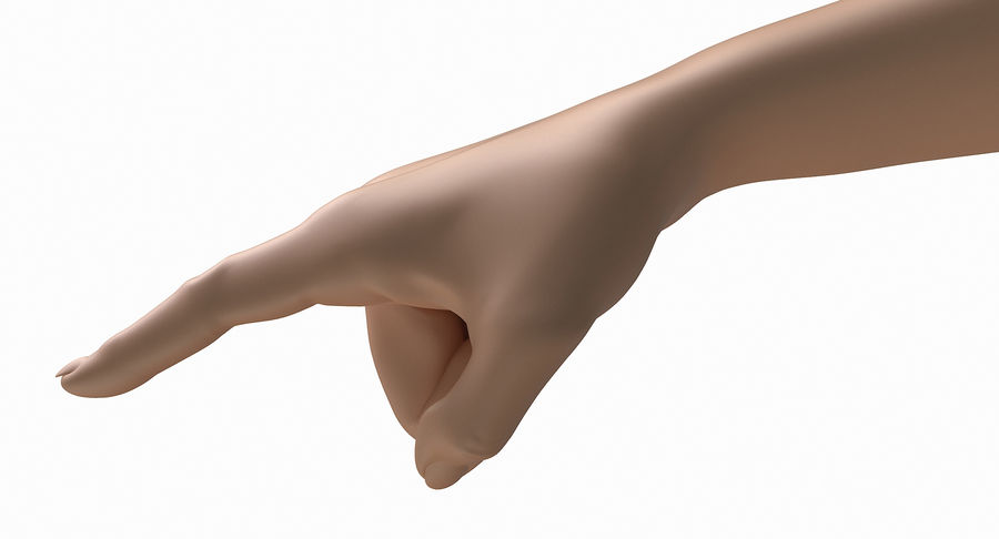 Detail Pointing Hand 3d Model Nomer 15