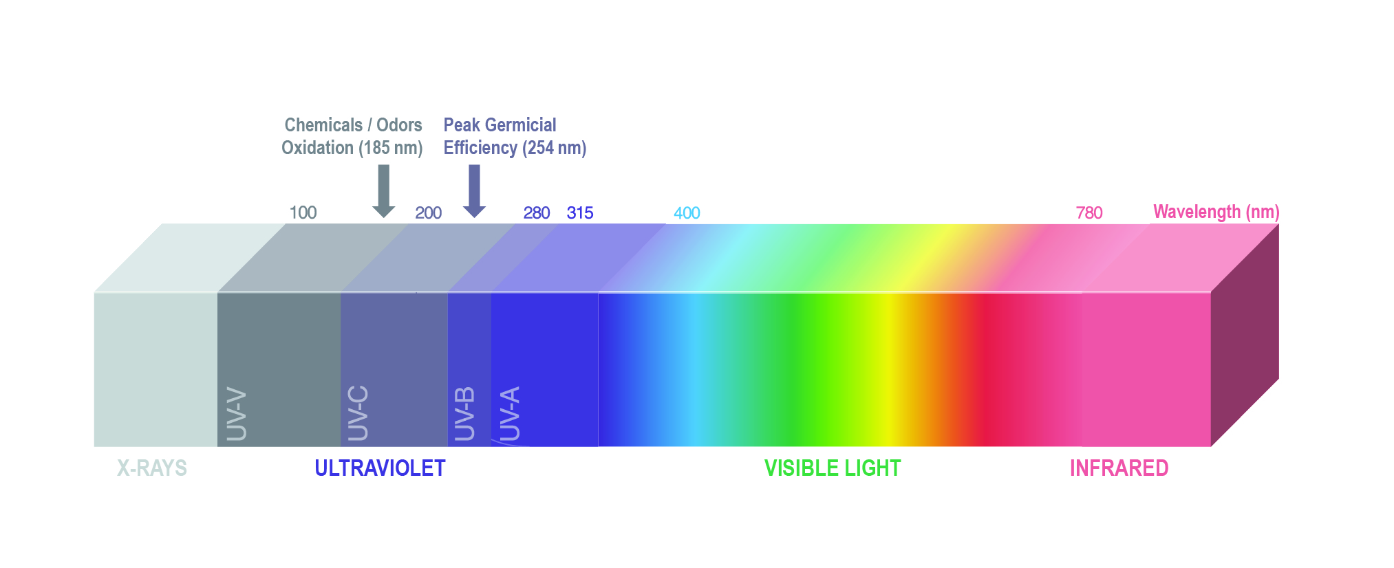 Detail Uv Bilder Nomer 3