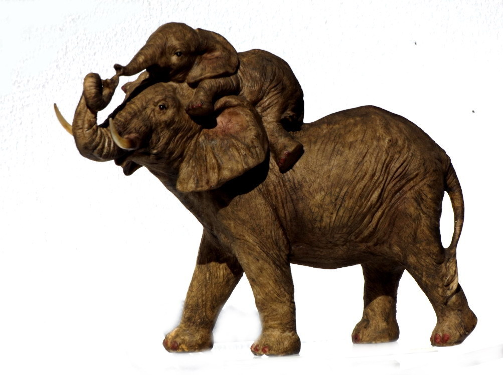 Detail Bronze Elefant Afrika Nomer 16