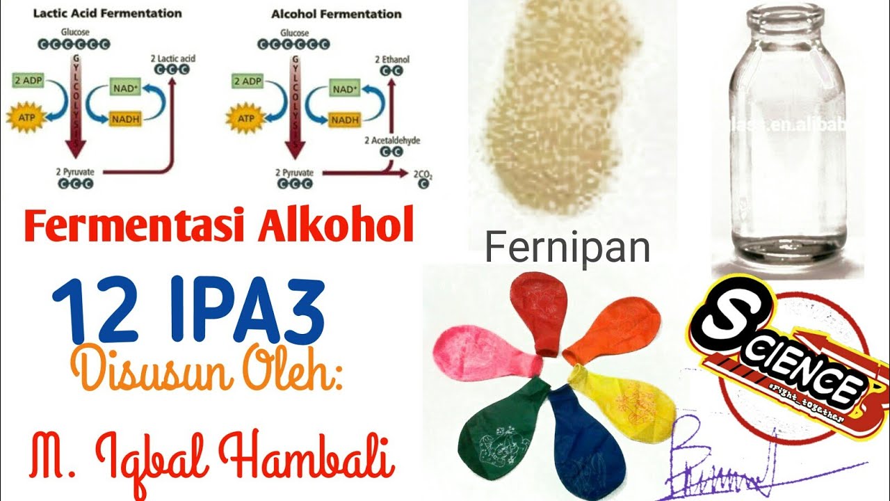 Detail Gambar Fermentasi Alkohol Nomer 28