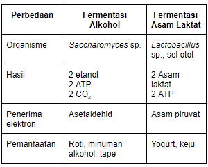 Detail Gambar Fermentasi Alkohol Nomer 42