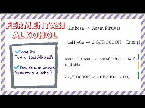 Detail Gambar Fermentasi Alkohol Nomer 46