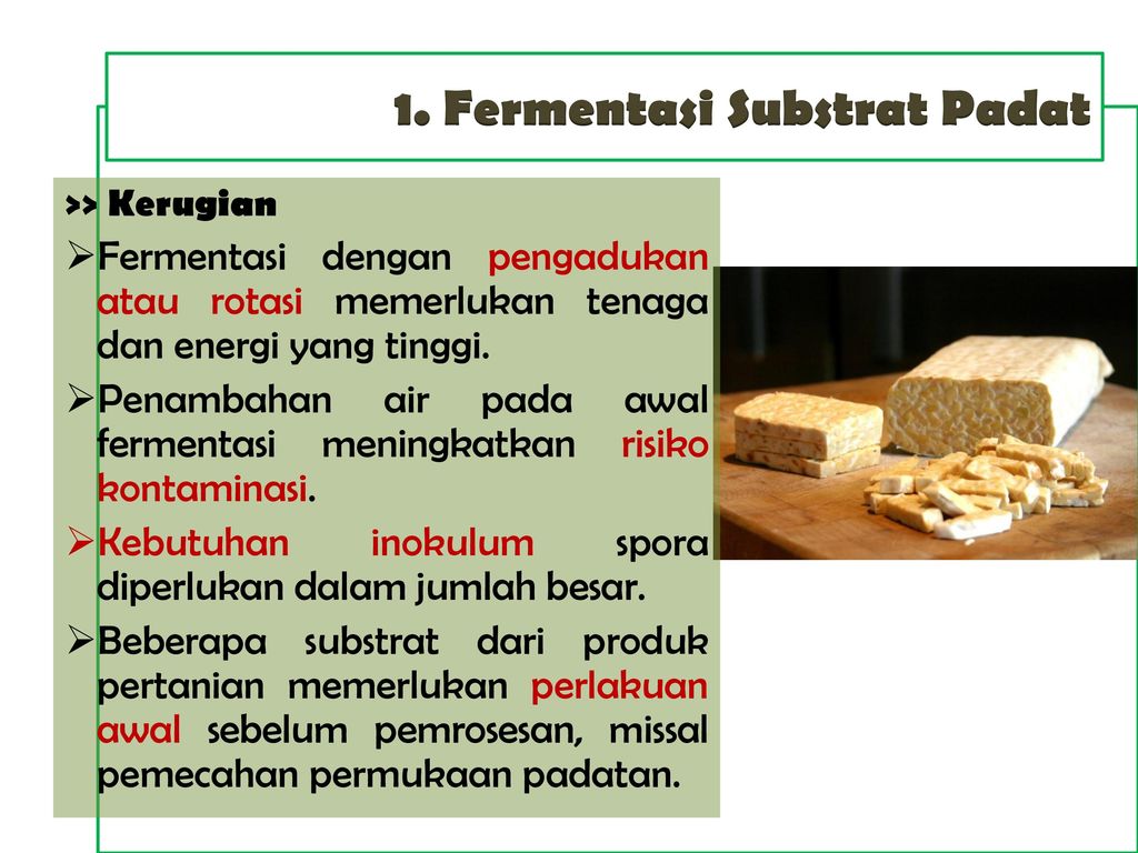 Gambar Fermentasi Padat - KibrisPDR