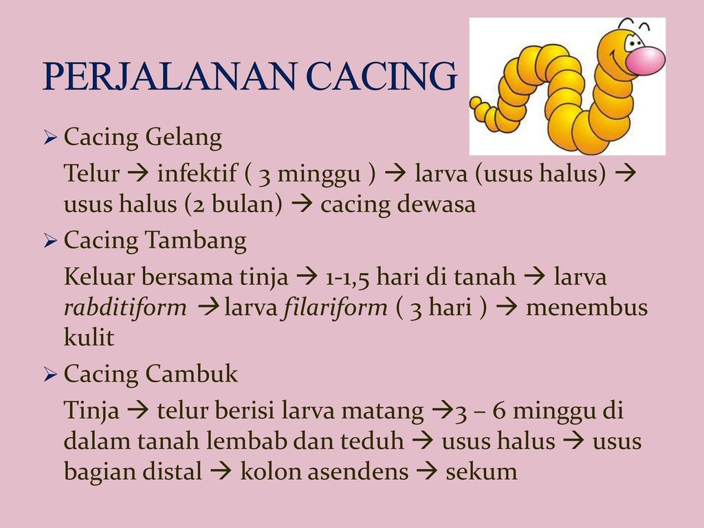 Detail Gambar Feses Bayi Cacingan Nomer 12