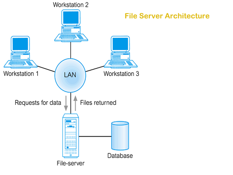 Detail Gambar File Server Nomer 44