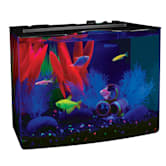 Detail Gambar Filter Aquarium Nomer 32