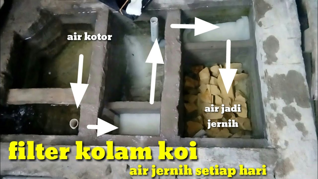 Gambar Filter Kolam Ikan Koi - KibrisPDR