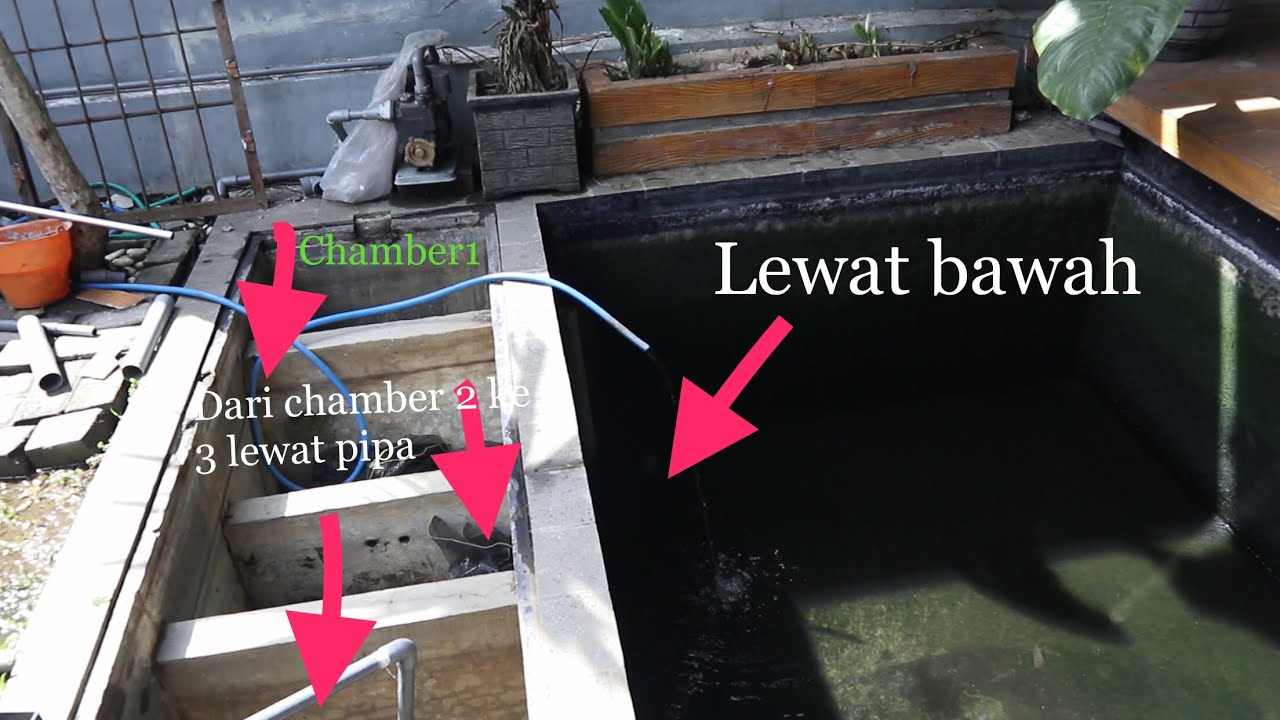Detail Gambar Filter Kolam Ikan Koi Nomer 10