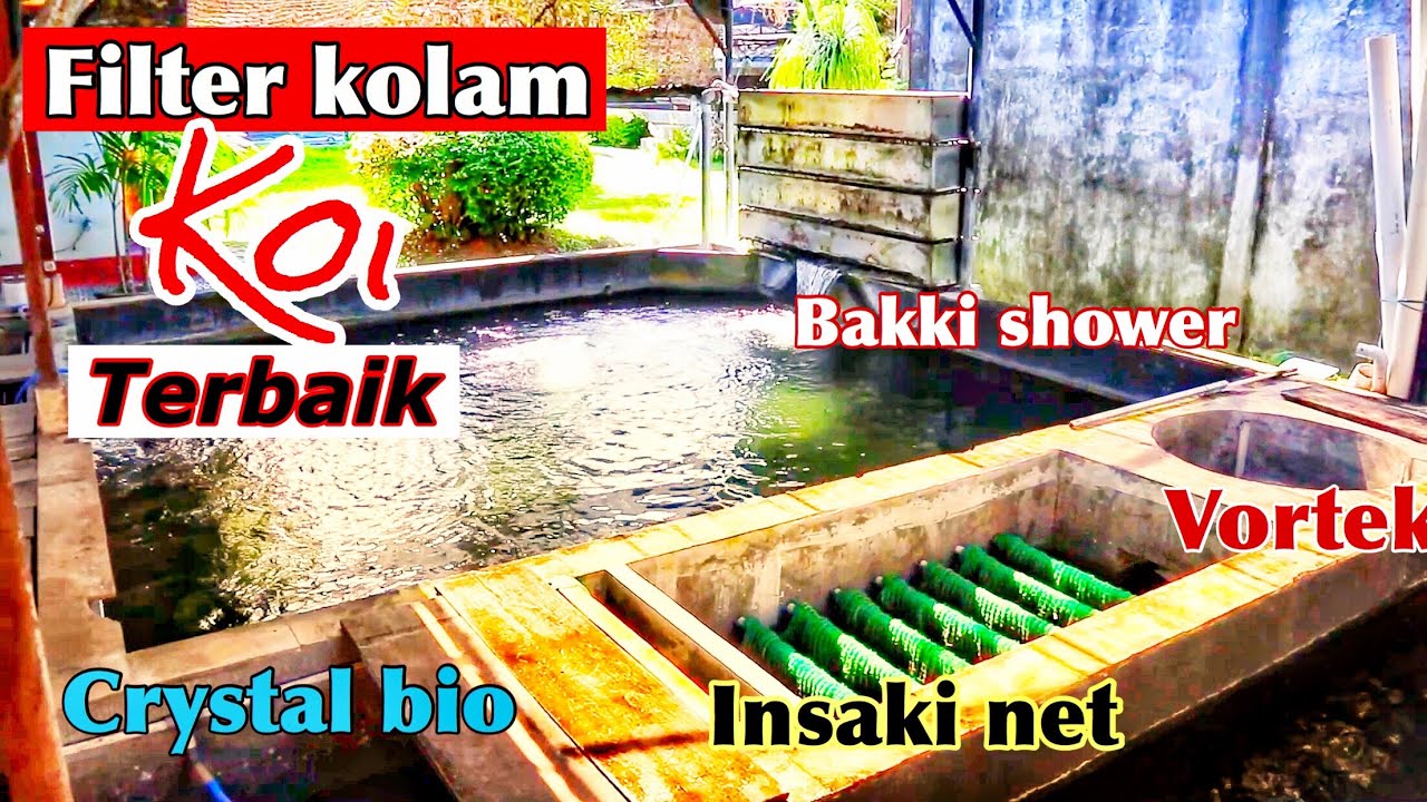 Detail Gambar Filter Kolam Ikan Koi Nomer 16