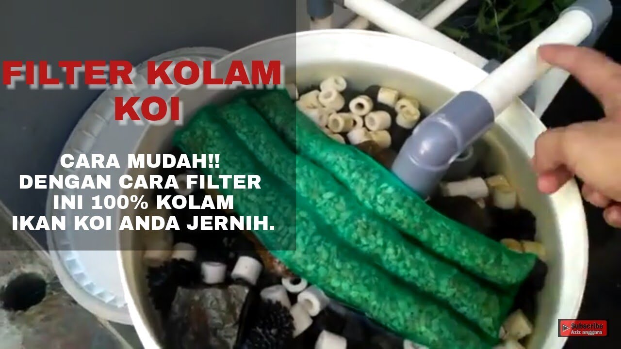 Detail Gambar Filter Kolam Ikan Koi Nomer 32