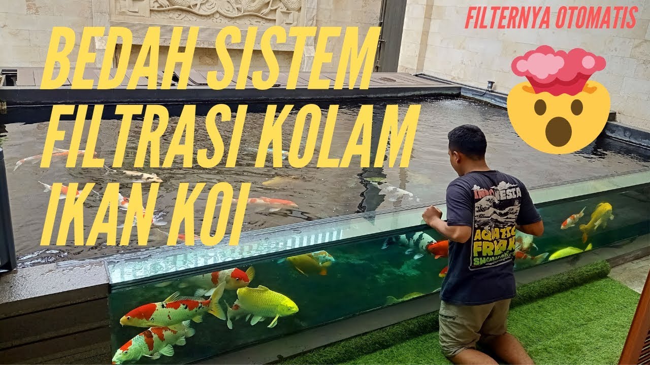 Detail Gambar Filter Kolam Ikan Koi Nomer 43