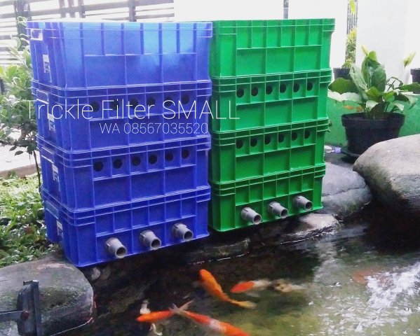 Detail Gambar Filter Kolam Ikan Koi Nomer 45