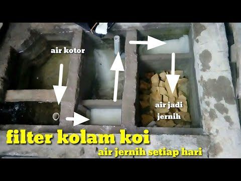 Detail Gambar Filter Kolam Ikan Koi Nomer 7