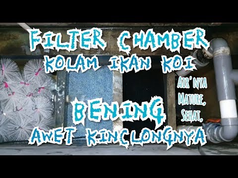 Detail Gambar Filter Kolam Koi Nomer 47