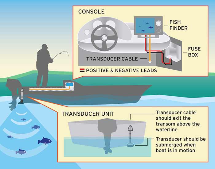 Detail Gambar Fish Finder Nomer 46