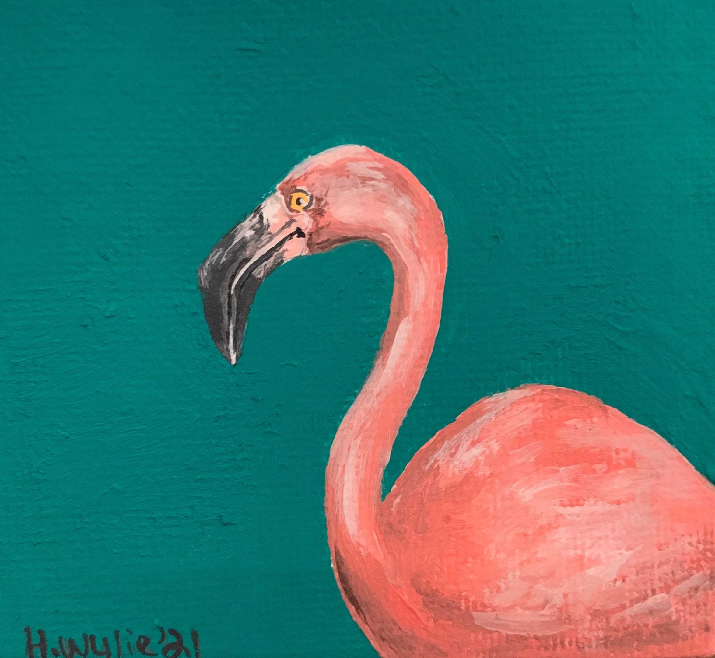 Detail Gambar Flamingo Asli Nomer 12
