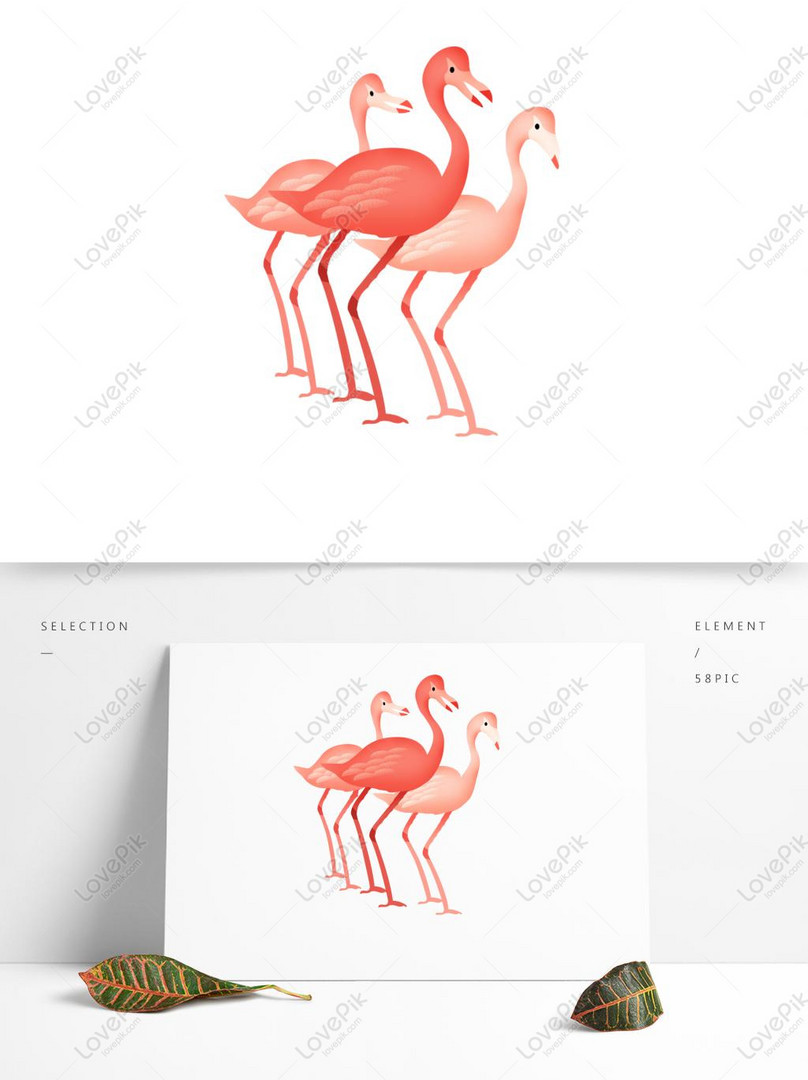 Detail Gambar Flamingo Asli Nomer 17