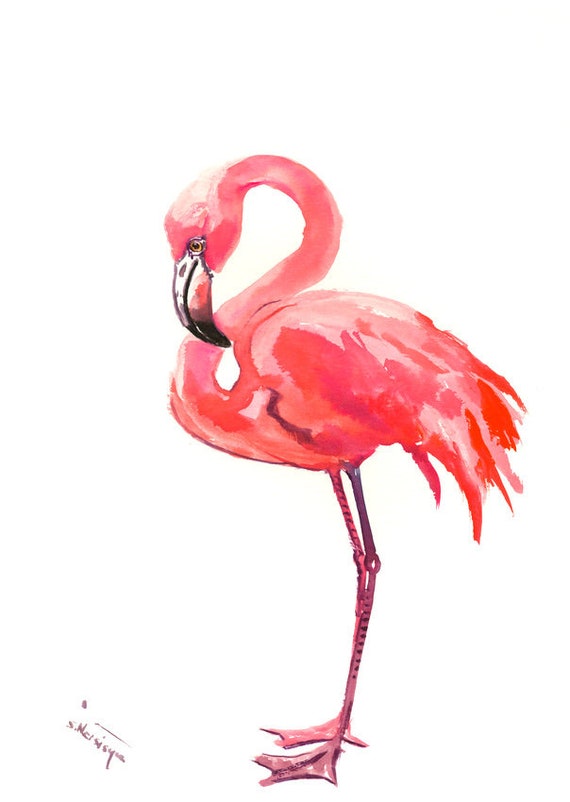Detail Gambar Flamingo Asli Nomer 18