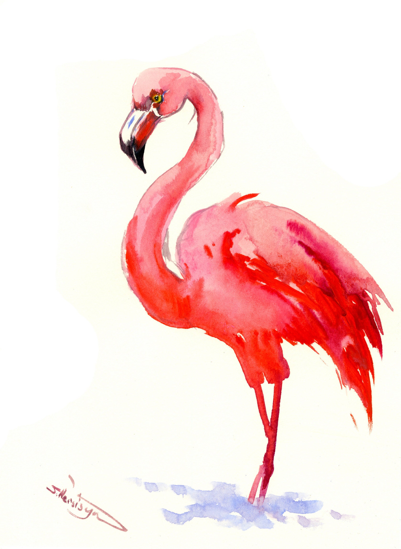 Detail Gambar Flamingo Asli Nomer 20