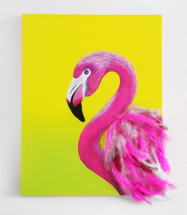 Detail Gambar Flamingo Asli Nomer 21