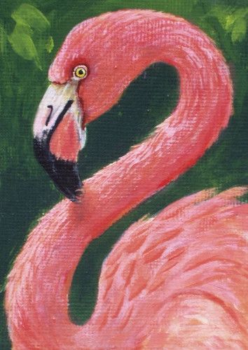 Detail Gambar Flamingo Asli Nomer 22