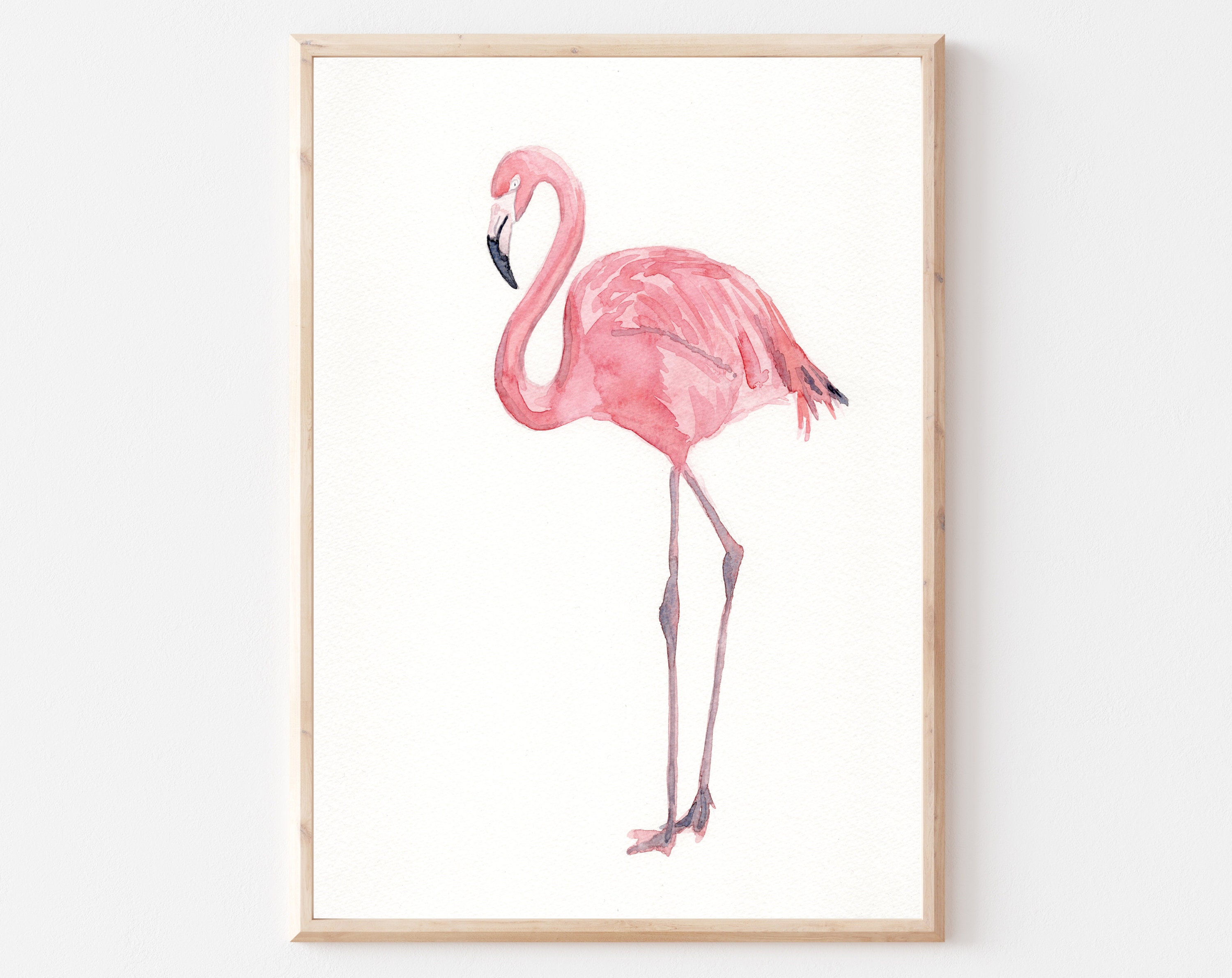 Detail Gambar Flamingo Asli Nomer 23