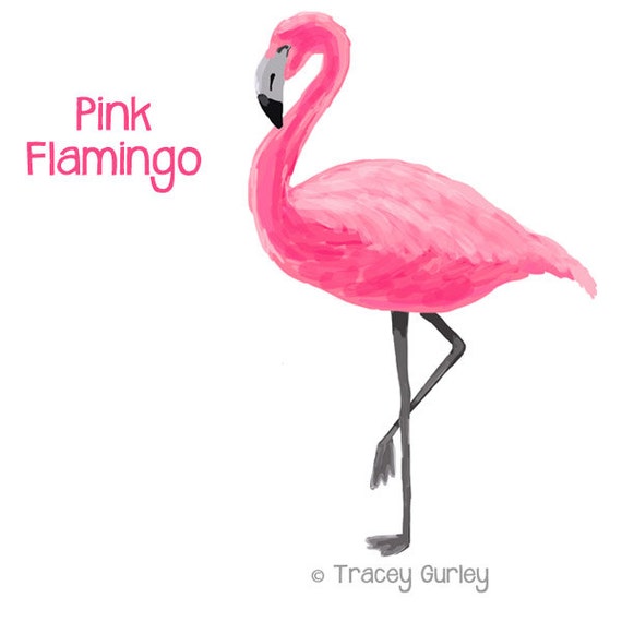 Detail Gambar Flamingo Asli Nomer 24