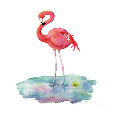 Detail Gambar Flamingo Asli Nomer 26