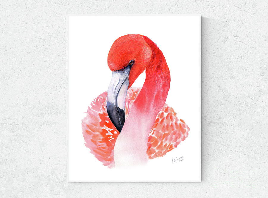 Detail Gambar Flamingo Asli Nomer 27