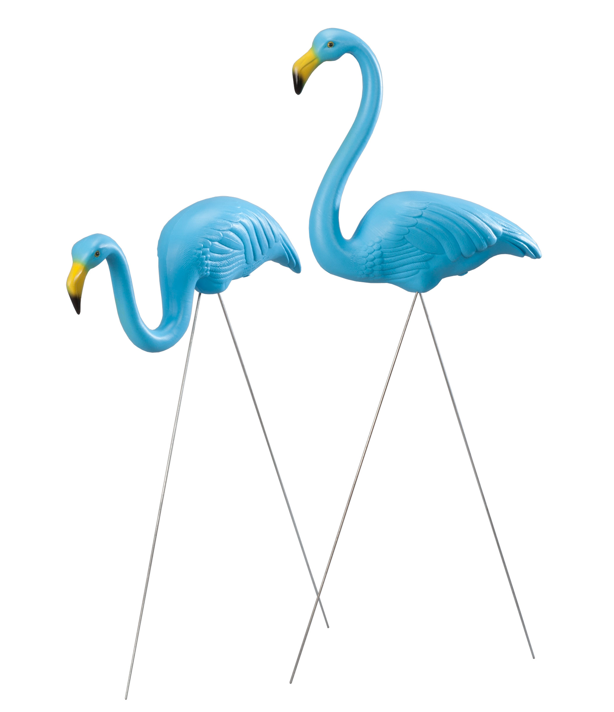 Detail Gambar Flamingo Asli Nomer 32