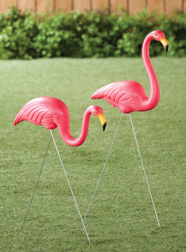 Detail Gambar Flamingo Asli Nomer 46