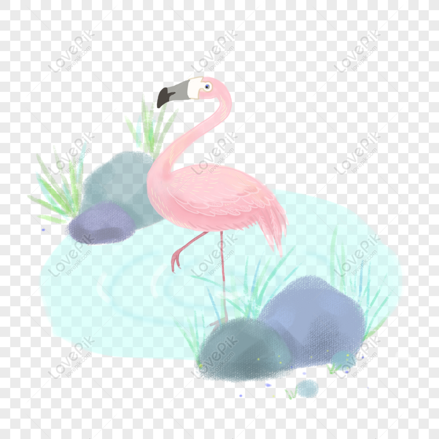 Detail Gambar Flamingo Asli Nomer 51