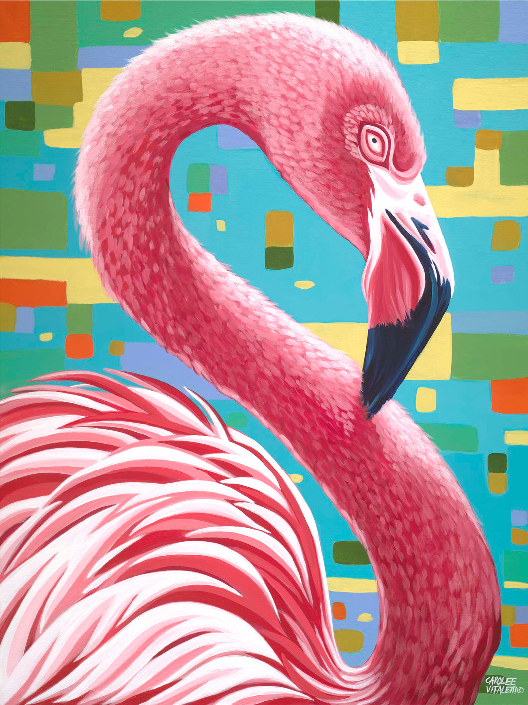 Detail Gambar Flamingo Asli Nomer 54