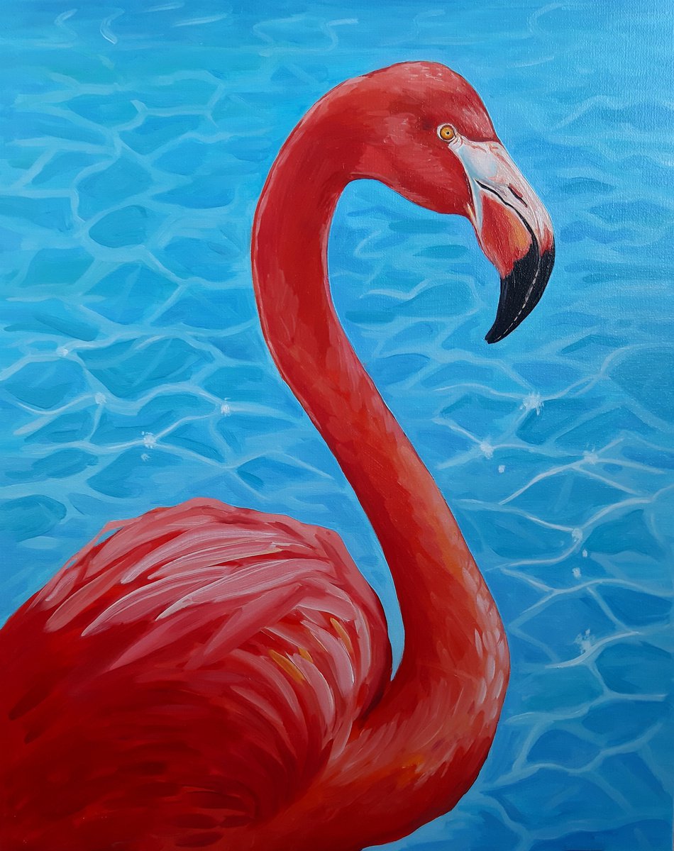 Detail Gambar Flamingo Asli Nomer 8