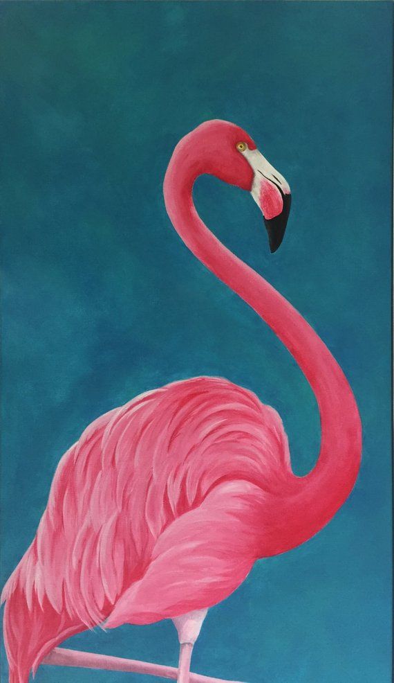 Detail Gambar Flamingo Asli Nomer 9