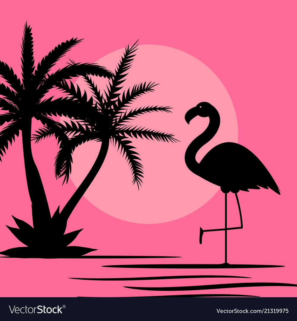 Detail Gambar Flamingo Pink Nomer 11