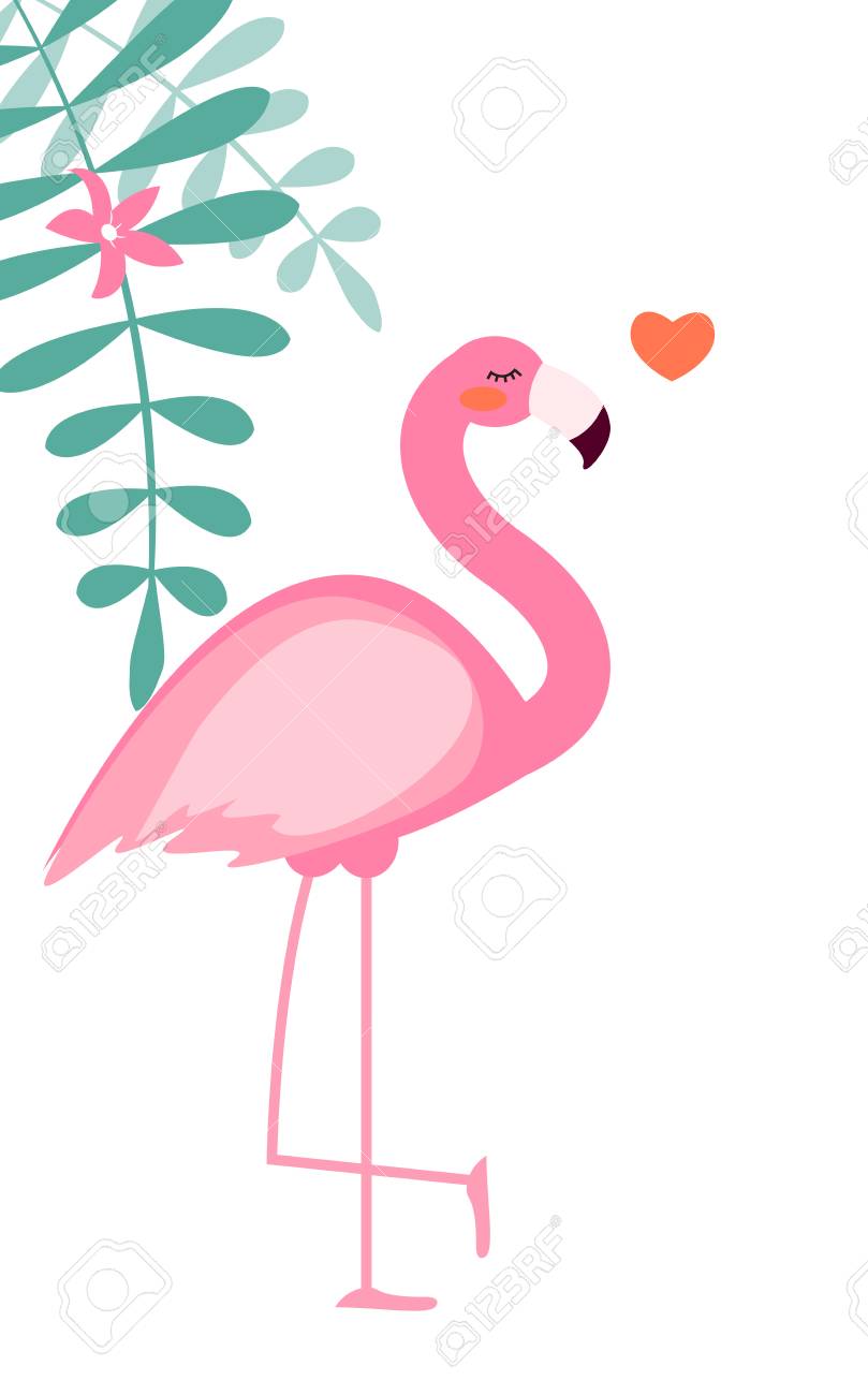 Detail Gambar Flamingo Pink Nomer 12