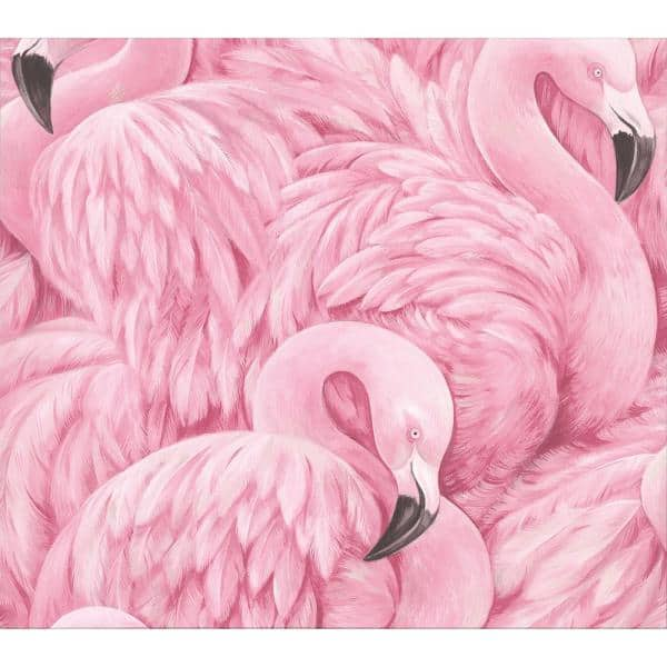 Detail Gambar Flamingo Pink Nomer 34