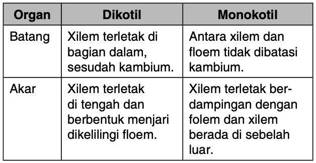 Detail Gambar Floem Dan Xilem Nomer 44