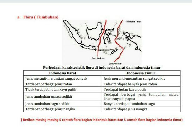 Detail Gambar Flora Bagian Timur Nomer 51