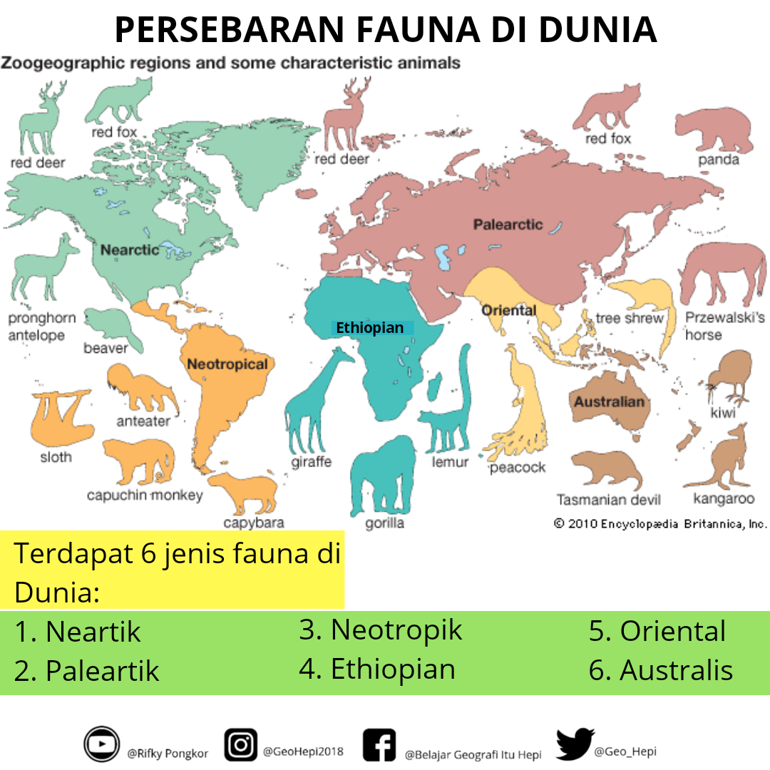Detail Gambar Flora Dan Fauna Di Dunia Nomer 13