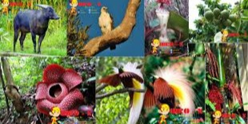 Detail Gambar Flora Dan Fauna Di Dunia Nomer 40