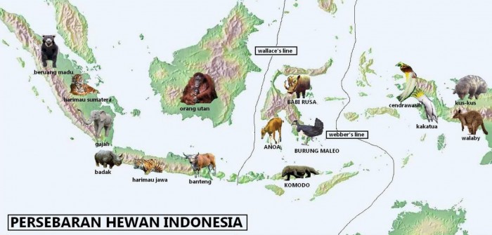 Gambar Flora Dan Fauna Di Indonesia - KibrisPDR