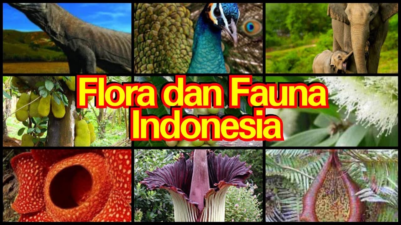 Detail Gambar Flora Dan Fauna Di Indonesia Nomer 14