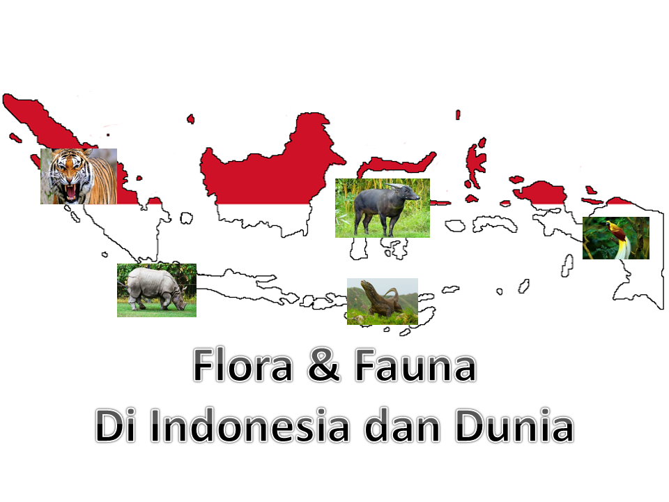 Detail Gambar Flora Dan Fauna Di Indonesia Nomer 26