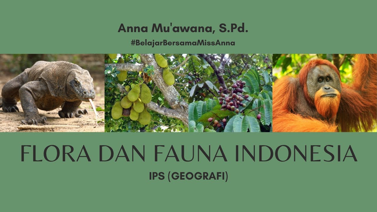 Detail Gambar Flora Dan Fauna Di Indonesia Nomer 31