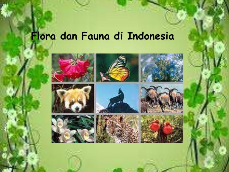 Detail Gambar Flora Dan Fauna Di Indonesia Nomer 52
