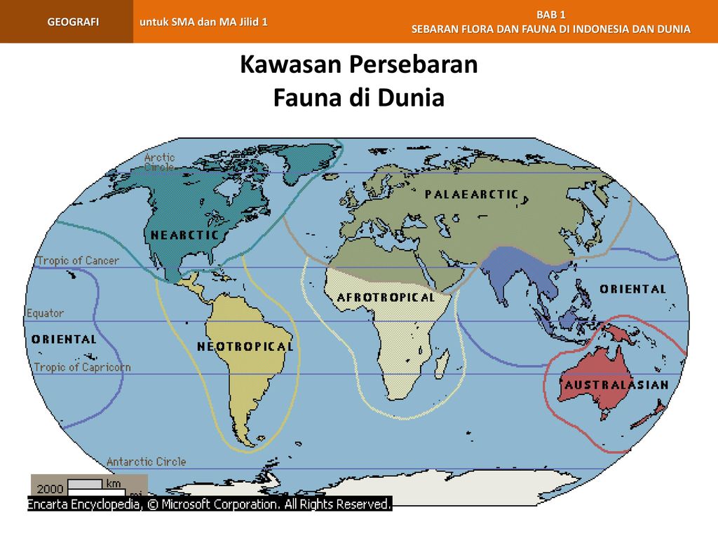 Detail Gambar Flora Dan Fauna Didunia Nomer 26