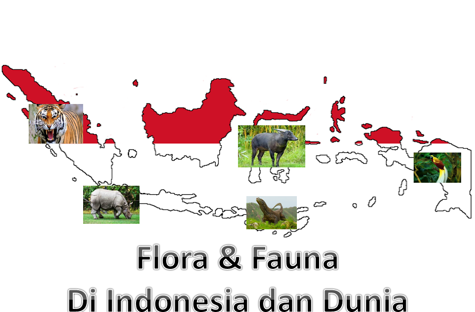 Detail Gambar Flora Dan Fauna Didunia Nomer 6